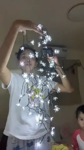 christmas light ganda kaya nito #christmaslights #christmaslight #solarchristmaslight #solarlights #christmasdecor 