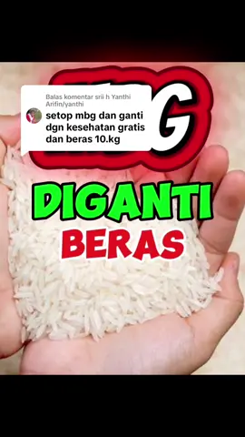 Membalas @srii h Yanthi Arifin/yanthi  Banyak pendapat yang menginginkan agar mbg diganti dengan bantuan beras. #indonesia🇮🇩 #presidenprabowo #mbg #makanbergizigratis 