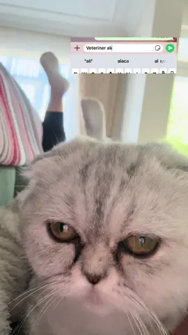 Sen ne işler karıstırıyosun