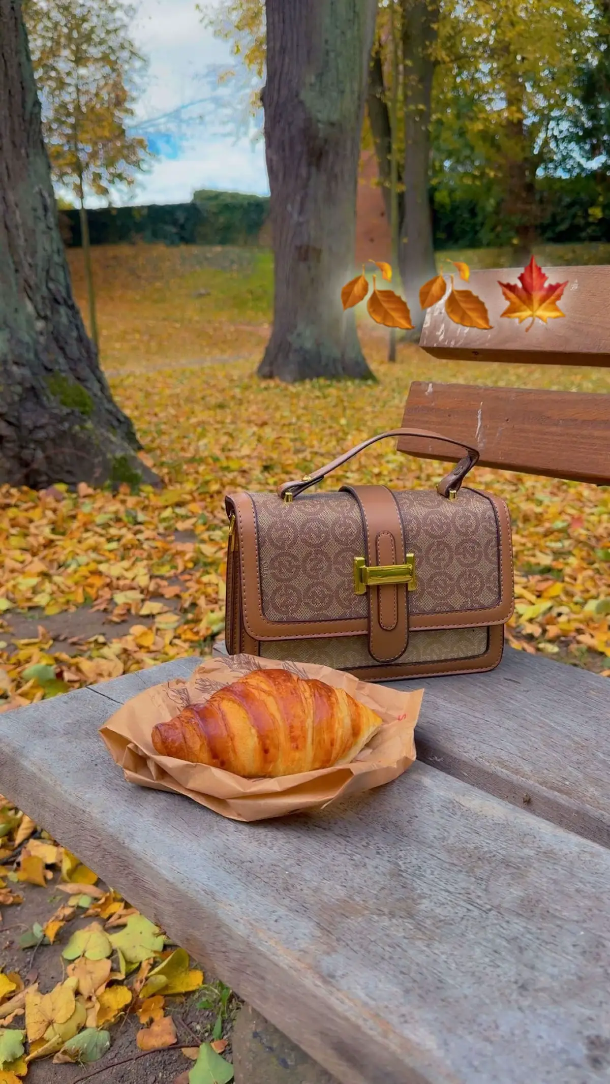 #قطعنا_حبال_الود_لا_كنا_ولا_كانو💔🤚🖤🥀 🍂✨#الخريف 🍁#ورقة_خريف🍁 #الخريف_والجو_الجميل🍁🍂 #المانيا🇩🇪 