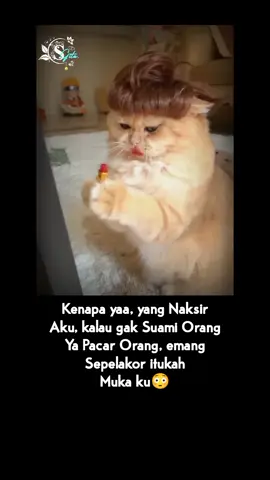 #sekedar_hiburan #®yn