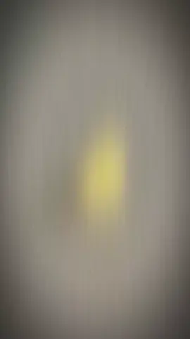 Bò đi kiếm con ghệ 🤣🤣🤣                                                                                               #fyp #foryou #foryoupage 