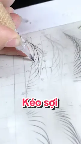 Kéo sợi bên trái lông mày hướng ngược lại đơn giản cũng Lym Beauty ❤️  #pmu #hocvienphunxamthammylymbeauty #hocphunxamuytinsaigon #Lymbeautyacademy #phunxamthammy 