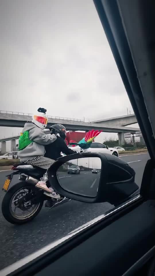 Bring your ride to life with this adorable flying bird car ornament! 🐦✨
As the wind blows, its colorful wings spin gracefully—making every drive more fun and full of joy.
Perfect for cars, motorcycles, and e-bikes. Strong grip, no worries about rain or high speed! 🚗💨 #CarDecoration #FlyingBird #CarOrnament #MotorcycleAccessories #CarGadget #CuteCarDecor #RideWithStyle #WindPoweredToy #CarVibes #RoadTrip