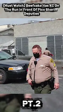 #foryou #police #audit #fyp 