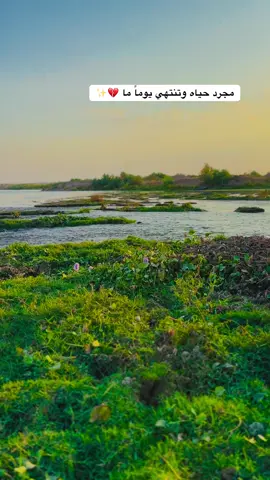 مجرد حياه وتنتهي يوماً ما 💔✨#تصويري📷 #عباراتكم_الفخمه📿📌 