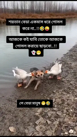ফানি ভিডিও 🤣🤣😁😁👻👻😜😜@★°👑•𝕍𝕆𝕀ℂ𝔼ℝ✯𝕄𝔸𝕄𝕌ℕ👑°★ @🤓 MD Jibon Ahmed  🤓 কবি 🤓 @😥💔🥀 তোর জন্য,পাগল  😢💔🥀 @বি -বাড়িয়ার সরল ছেলে শান্ত😱🥰 @✈️✈️মালদ্বীপ প্রবাসী ছেলে ✈️✈️ @ইসলামের রুপরেখা @★S a k i l A h m e d ★ @Neel akasher Tara @꧁🍓