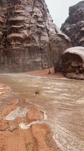 #اكسبلور #علقان#ترند 