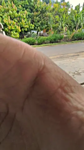 🤩#fyp #otiddd⚡ #beranda #beatdeluxe2024 #beatdeluxegen2 