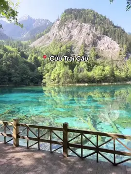Cửu Trại Câu – thiên đường hạ giới ở Tứ Xuyên, Trung Quốc 🇨🇳 Nơi có hơn 100 hồ nước xanh ngọc, thác trắng như lụa, và rừng thu rực rỡ sắc màu 🍁. Được mệnh danh là “chốn tiên cảnh giữa nhân gian”, Cửu Trại Câu khiến ai đến cũng ngỡ như lạc vào tranh vẽ 🎨✨ 📍 UNESCO công nhận Di sản thiên nhiên thế giới 🎬 Mùa đẹp nhất: tháng 9 – 11 Bạn có dám check-in nơi đẹp đến nín thở này không? 😍💦#tourtrungquoc #dulichtrungquoc #travel #tiktokchina🇨🇳 #tiktokviral 