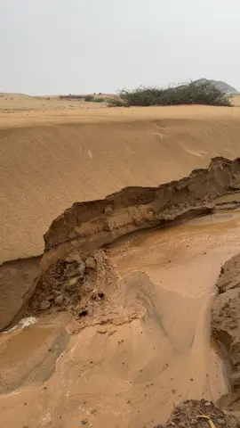 #امطار #تصويري #اكسبلورexplore #اجواء_الشتاء 