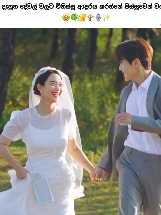 ❤️🫀✨ #kdrama #alchemyofsouls #typhoonfamily #lovelyrunner 