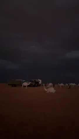#ارشيف #ماشاء_الله 
