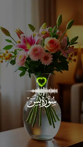 #CapCut #قران_كريم #1millionaudition #احبكم_يا_احلى_متابعين #السديس 