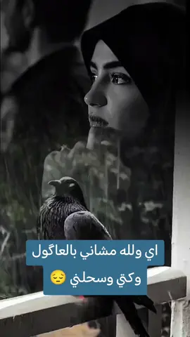 #CapCut #هدوء #  مشاني  بالعاكول # وكتي # وسحلني # #😔💔🥀 