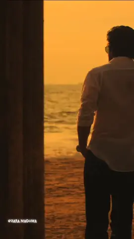 #Shahrukh #Khan #Kingbollywood