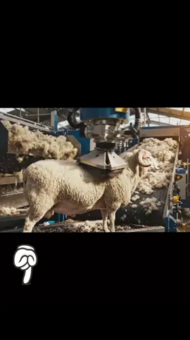 #LIVEIncentiveProgram #LIVEMonetization #PaidPartnership 