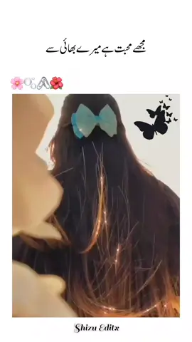 مجھے محبت ہے میرے بھائی سے 🫶🏻❤️🕊️||Don't Under Review My TikTok Video @ᥫ᭡𝐒𝐇𝐈𝐙𝐔⎯꯭̽𐙚👀❤ #fypシ゚🖤tiktok☆♡🦋myvideo #foryou #foryoupage #unfreezemyacount #viewsproblem 