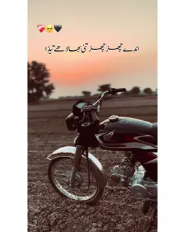 گزرے ویلے کوں یاد نئی کرنڑاں🥺🙏🏻#foryoupage #useheadphones #foryou #dream1milion #100kviews @ساغر ملکانی💔 