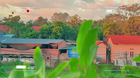 #CapCut lạc vào trong mơ#xuhuongtiktok #PhuNuVietNam2025 