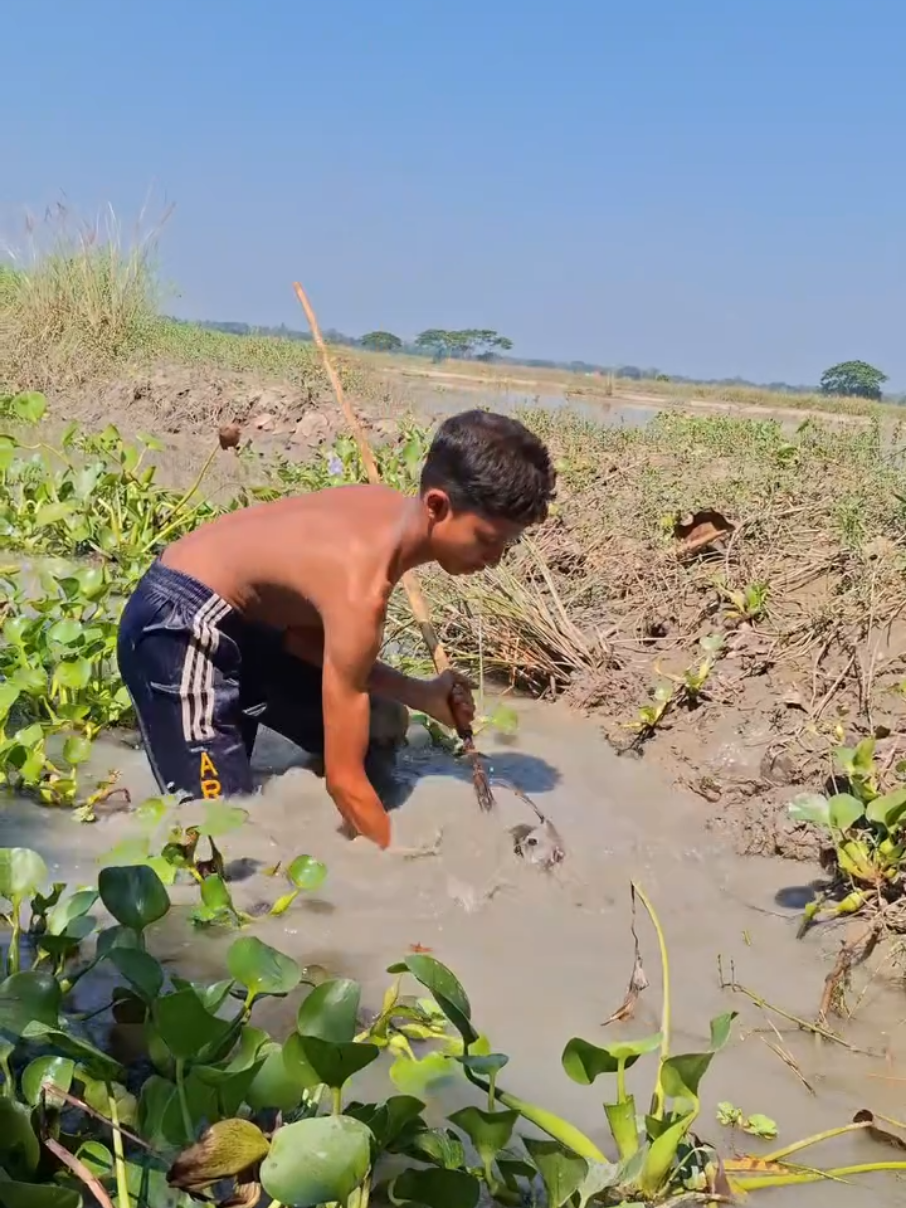 spot mancing banyak ikan di sungai #mancing #ikan #sungai #hiburantiktok #foryoupage 