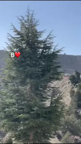 #fyp #afghnfyp #pppppppppppppppp 