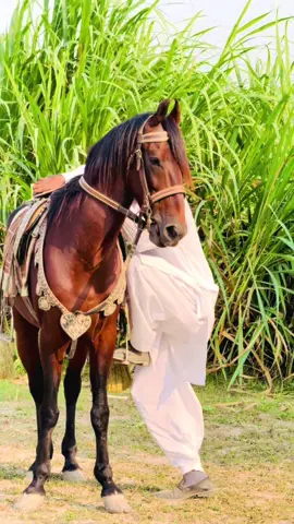 #alrohaniclubpakistan 