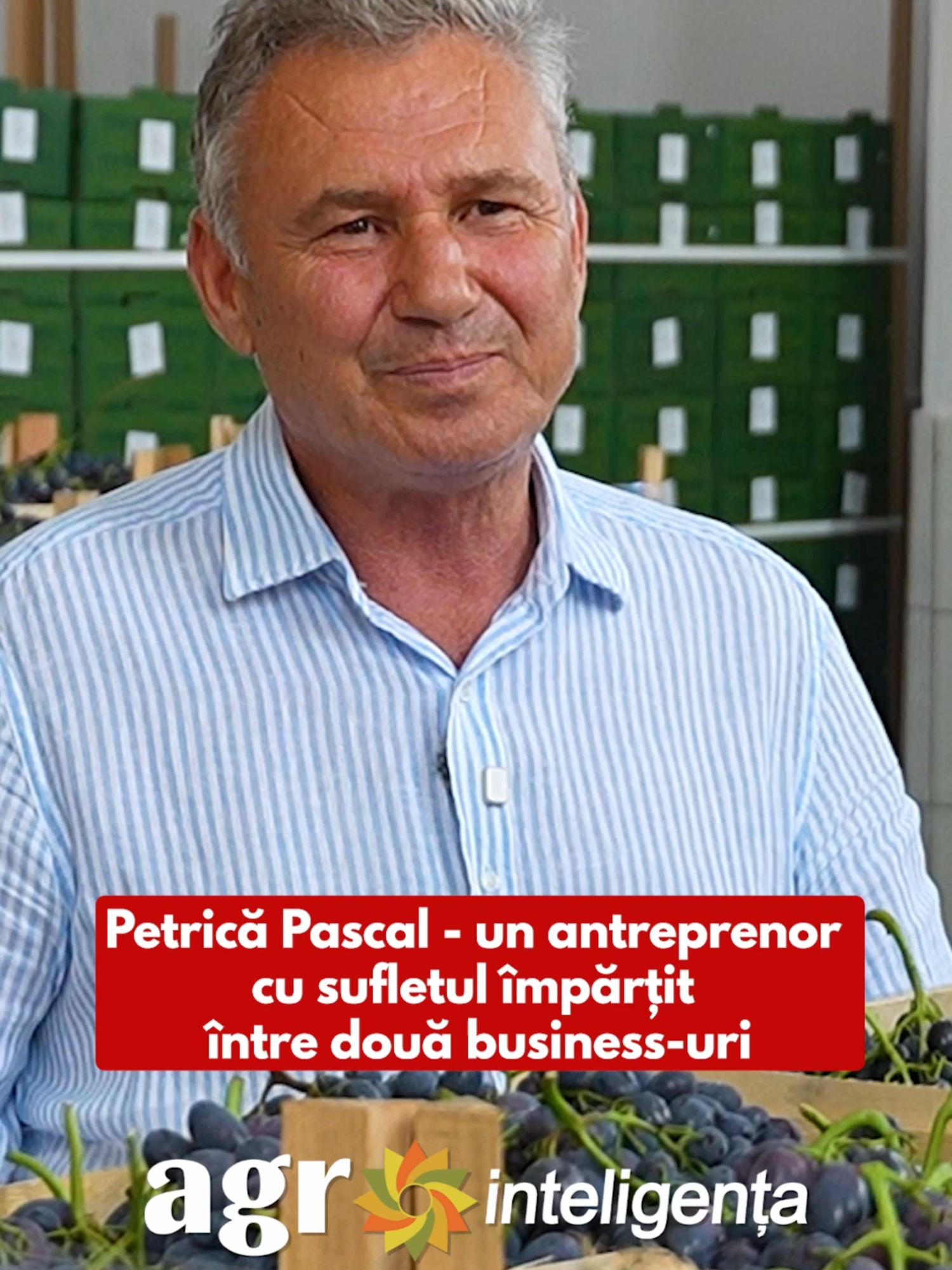 Petrică Pascal - un antreprenor cu sufletul împărțit între două business-uri #agrointeligenta #agrointel #agricultura #stiriagricole #agrointelRO #fermieriiromaniei #agribusiness