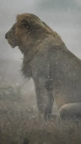 Bless the rains in Africa 🌍 