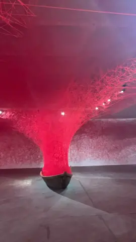 Ê. Mấy bữa nay coi vụ yu monglung tự dưng coi lại clip 2023 tui từng đi triển lãm ở royal city không biet có liên quan tới cái bảo tàng 798 kia không nhỉ 🥲