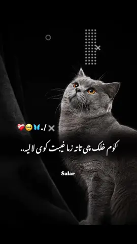 #CapCut Hu sir 🤚💔 #تمپلیت_جدید  هو قربان🖤🤕#تمپلیت_جدید #رپ_پشتو رپ_فارسی اهنګ_پشتو اهنک_افغانی  اهنک_ایران_غمگین_غاشقان creatorsearchinsights #oo__3salar_afg 