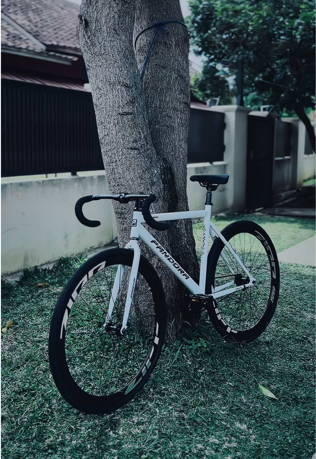 Pandora gang🥵 #element #pandora #coasterbike #fypage #fyp 