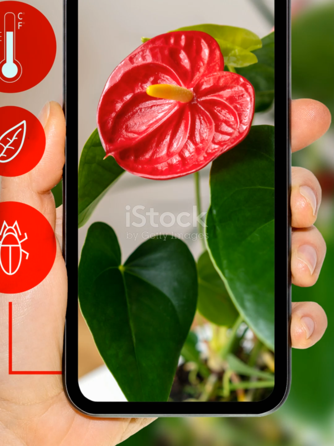 SEU CELULAR É UMA MINA DE OURO, SABIA? 🚨 **GANHE DINHEIRO COM SEU CELULAR AGORA! 📱💰** 🚨 Ei, você aí! 😎 Já pensou em transformar fotos e vídeos casuais do seu smartphone em uma RENDA EXTRA de R$500 a R$5.000 por mês? Sem equipamentos caros, sem chefe chato – só você, sua câmera e a internet cheia de grana esperando! Nesse vídeo explosivo, eu revelo o SEGREDO SIMPLES: como tirar fotos do dia a dia (paisagens, comida, pets) e vender em sites que PAGAM ROYALTIES toda vez que alguém baixa seu conteúdo. Comecei do zero e hoje faturo passivo – você também pode! 🔥 O que você vai aprender: - Passos FÁCEIS pra começar HOJE! - Dicas pra fotos que VENDEM como água! - Histórias reais de gente comum lucrando MILHARES! Se inscreva no canal pra mais hacks de renda, dê like se você vai testar isso, e comente 