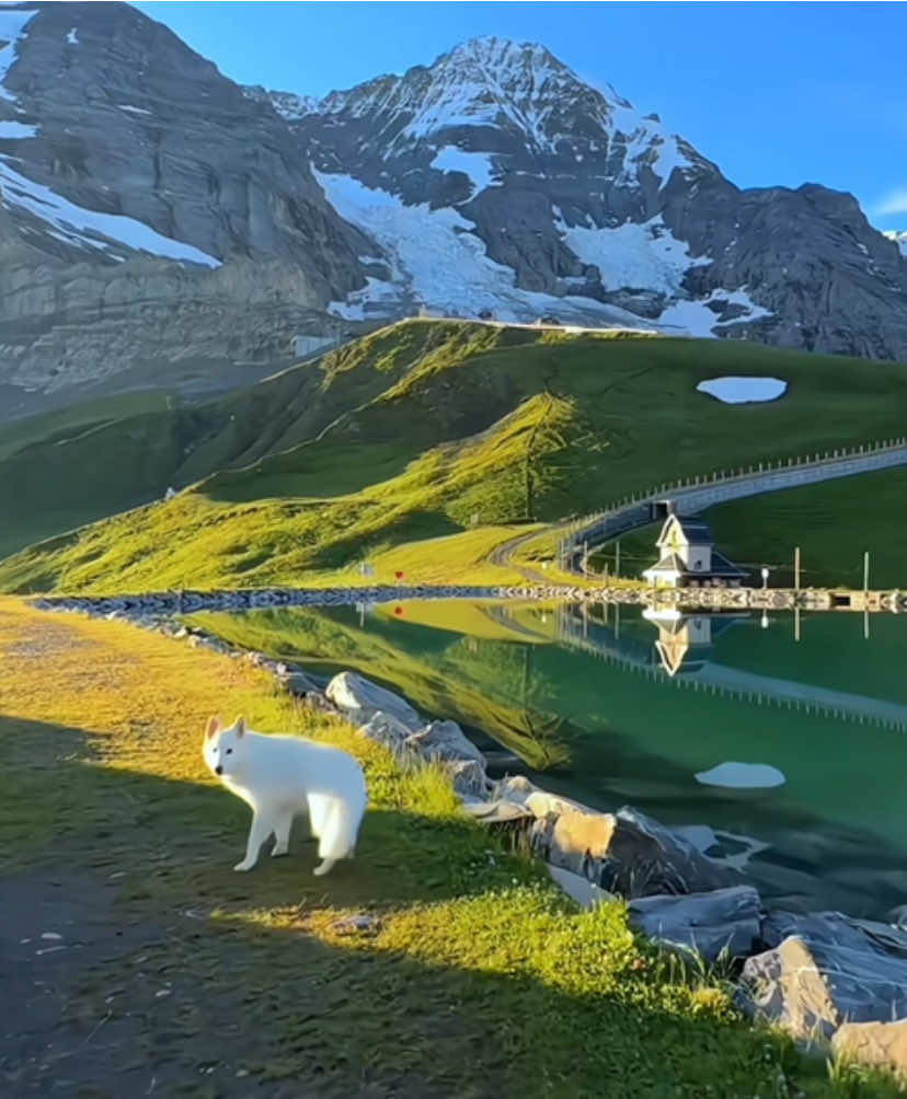 the beauty of Switzerland #yenbinhcoquadatkhong #chill #fyp #switzerland 
