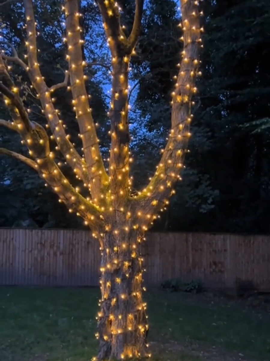 LUZES DE NATAL COM PLACA SOLAR! NAO PRECISA DE ENERGIA! APENAS 23,00 LINK AQUI 👇🏼 https://s.shopee.com.br/9fCRpRyFN8 ID: CJF-MQQ-YTD #luzdenatal #piscapisca #placasolar #natal #fy 