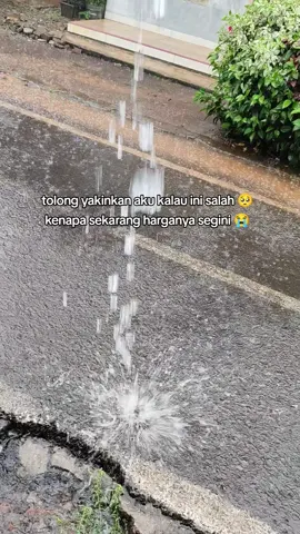 tolong yakinkan aku kalau ini salah 🥺 kenapa sekarang harganya segini 😭 #makuku #makukuantigumpal #diapers #popokbayi 