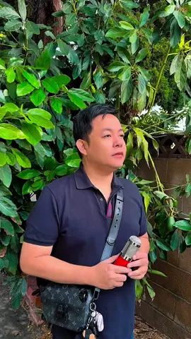 Lê nhớ người em Vỹ Dạ 🍐 #QuangLe #QuangLeentertainment #hoaduongentertainment #QuangLeLifestyle #casiquangle 