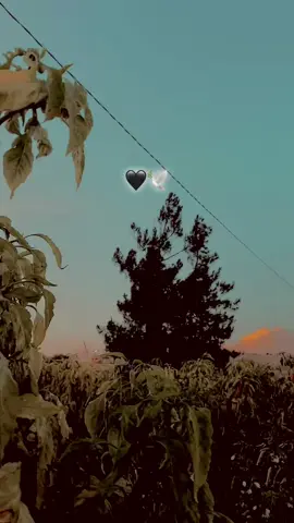 𝐒𝐓𝐎𝐑𝐘𝐋İ𝐊 | 𝐒ö𝐳 𝐁ı𝐫𝐚𝐤…🖤🕊️ #keşfet #keşfettiktok #anlamlısözler #storylikpaylaşımlar #kürtçemüzik 