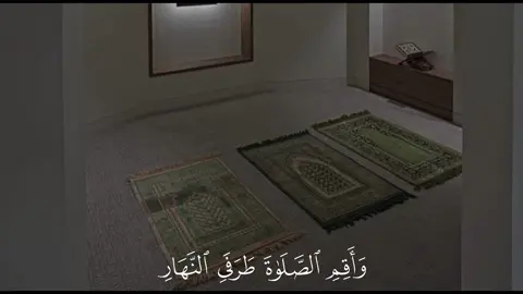 ﴿ وَأَقِمِ الصَّلَاةَ طَرَفَيِ النَّهَارِ وَزُلَفًا مِّنَ اللَّيْلِ ۚ …﴾ سورة هود 🤍  ————————————- #عزالدين_العوامي #واقم_الصلاة_طرفي_النهار #قران_كريم #quran_alkarim #quran 