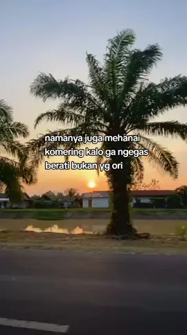 #mehanai #komering #tegas # ngegas#komeringokutimur 