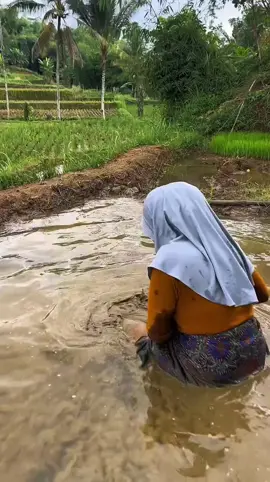 Neng amel dapat ikan sahabat #gadisdesa ##jandadesa #jandamuda #fypシ゚ #fypviralシ 