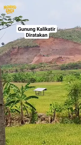 penambangan liar di mojokerto bantu share lur warga mojokerto #mojokerto #mojokerto24jam #trending #viral #fyp 