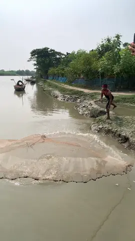 Catch big fish by castnet fishing small river side. #reels #Amazing #fishing #fish #fishinglife   