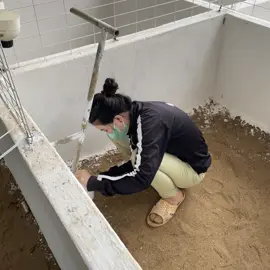 Tắt 1 cái hén nó chữ um sùm