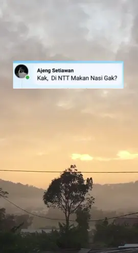 Tidak KK ,kami di NTT tidak makan beras ,kami makan batu ,kramik ,krikil ,semen  paham ya KK #tranding #labuanbajo📍ntt #fyppppppppppppppppppppppp #viral #nttpride🏝🔥kupangntt💯 
