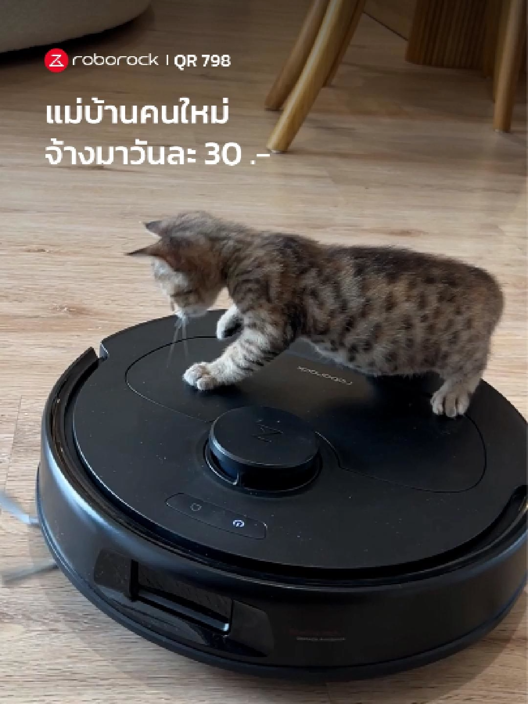 แม่บ้านคนใหม่ จ้างมาวันละ 30 .- คุ้มไปปะ? #RoborockQR798 #พลังสะอาดเหนือชั้นกับRoborock #RoborockThailand #RoborockTH #เครื่องดูดฝุ่นอัจฉริยะ