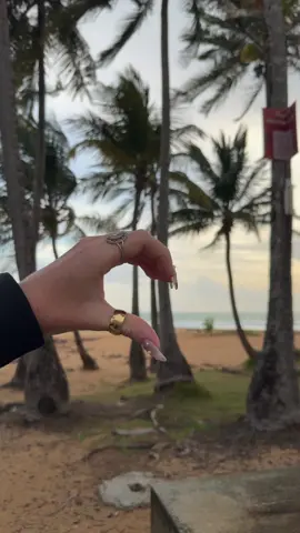 #palo #puertorico #luqillo #badbunny