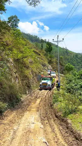 #creatorsearchinsights #newtrendwithbasanta #CapCut #fypviraltiktok🖤シ゚☆♡ #golive 