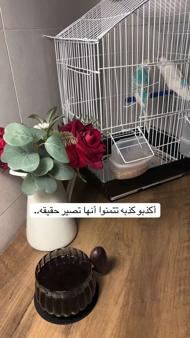 #طلعوني_اکسبلور #your_coffee #تصويري #زاويتي_المفضله #وقت 