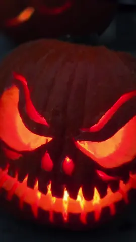 #spookyseason #pumpkinseason #halloween 